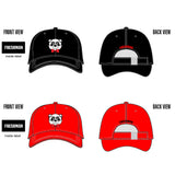 Custom Logo Embroidery 6 Panel Dad Hat